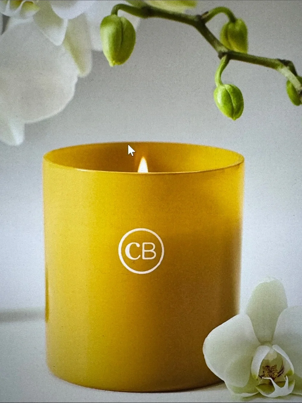 Capri Blue Floral Aloha Orchid Nautical Boxed Glass Candle